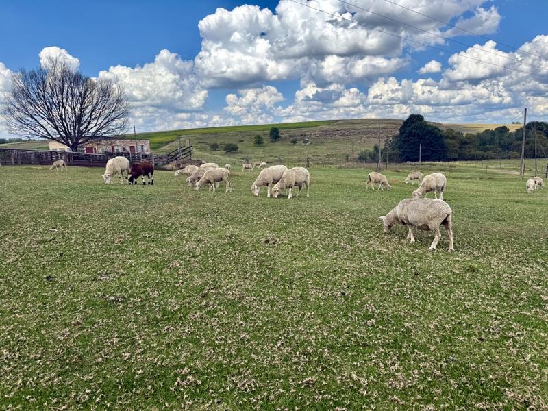 0 Bedroom Property for Sale in Harrismith Free State